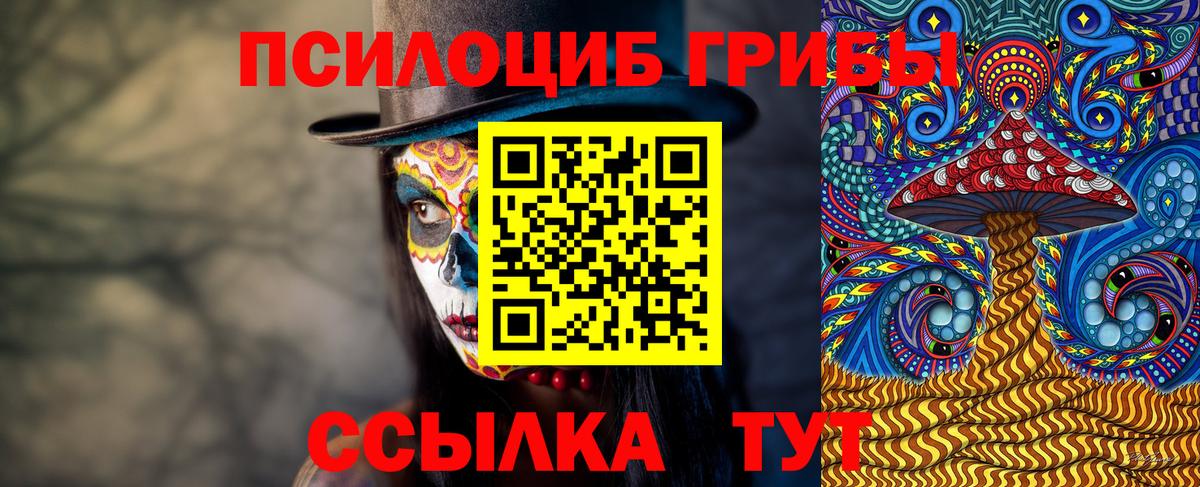 Галлюциногенные грибы Magic Shrooms  Вход с VPN  Заводоуковск 
