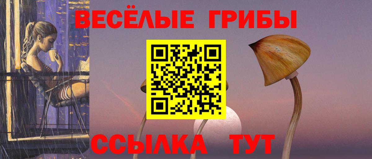 Псилоцибиновые грибы мухоморы Заводоуковск